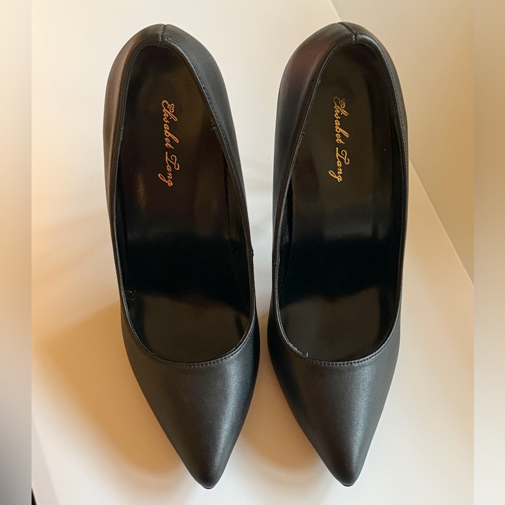 Black Pointed-Toe Stiletto’s with Sleek Minimalist Design